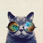 Cat-107's Avatar'
