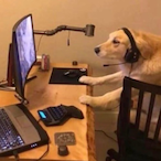 BabaYaga9x19NRA's Avatar'