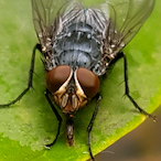 CPU_easy_player's Avatar'