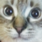 NxGnGgMR07's Avatar'