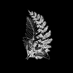 abomination_-_'s Avatar'