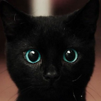 fritz_si's Avatar'