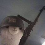 glorifjen's Avatar'