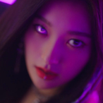 STELLA.SEO's Avatar'