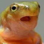 Mayayayaaaa's Avatar'