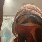 MattRod6010's Avatar'