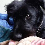 FrechesWunder's Avatar'