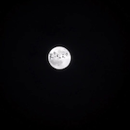 Wdnmd-DNM.'s Avatar'