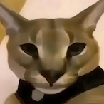 Berkeus.raw's Avatar'