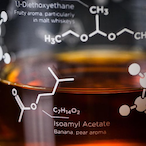 Scotch.SG's Avatar'