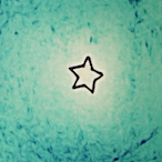 LmaoJustAPrank's Avatar'