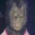 SpaghettiMan512's Avatar'