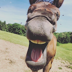 NiC3trY.VOID's Avatar'