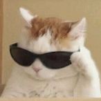 SotaEXE's Avatar'