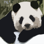 MojitoPanda.'s Avatar'
