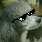 X1m4L9091's Avatar'