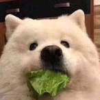 UWU.OVO.COM's Avatar'