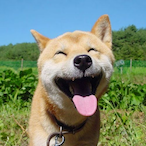 Godlyfufu.'s Avatar'