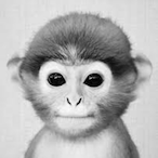 xVelrix's Avatar'
