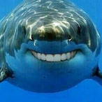 BabyShark--'s Avatar'