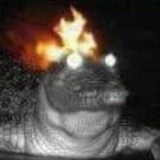 Croccy_fren's Avatar'