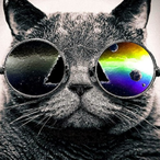 Vulturinepath67's Avatar'