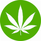 BMW_CHECKENGINE's Avatar'