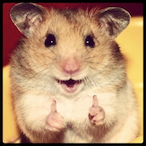 Vmbrella's Avatar'