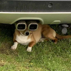 Grilled_Juhis's Avatar