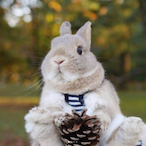 Felicity-3.0's Avatar'