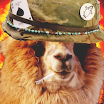 Sahuuurrrr67's Avatar'