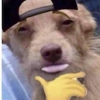 Dank_Scrub__'s Avatar'