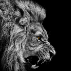 RlCKYD's Avatar'