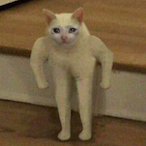 w0NdeR_kr's Avatar'