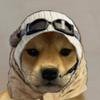 PetDetective_'s Avatar'