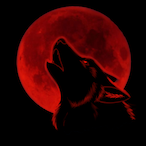 CowboyCassanova's Avatar'
