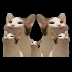 bydtggs's Avatar'