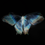 LaziXim's Avatar'
