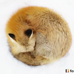 jeffssicko's Avatar'