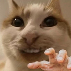 RyomenThukuna_'s Avatar'
