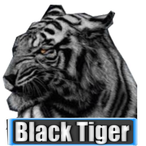 TB_BeQsV2's Avatar'