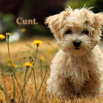 sgt_cuntly83's Avatar