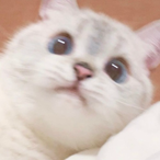 iStoleYourTV69's Avatar'