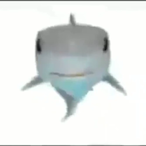 shark-pog's Avatar'