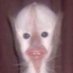 Ryznaaa's Avatar'