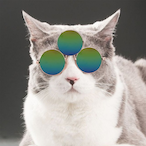 samcatfisher's Avatar'