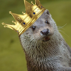 Lord_Otter_II's Avatar'