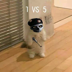 Cedindeden1453's Avatar'