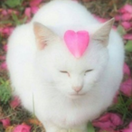 Charile_klrk's Avatar'