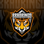 BradRingo's Avatar'